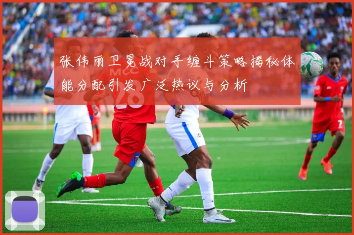 张伟丽卫冕战对手缠斗策略揭秘体能分配引发广泛热议与分析
