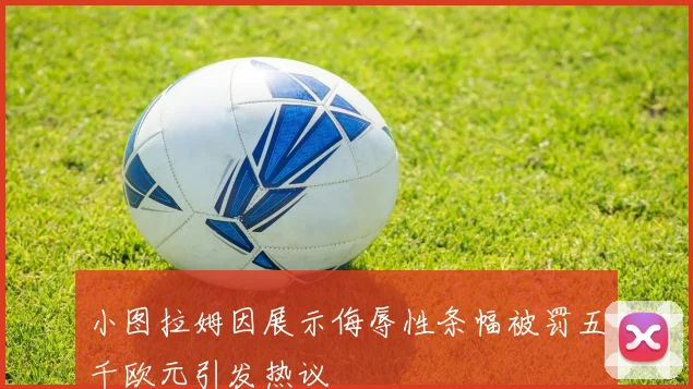 小图拉姆因展示侮辱性条幅被罚五千欧元引发热议