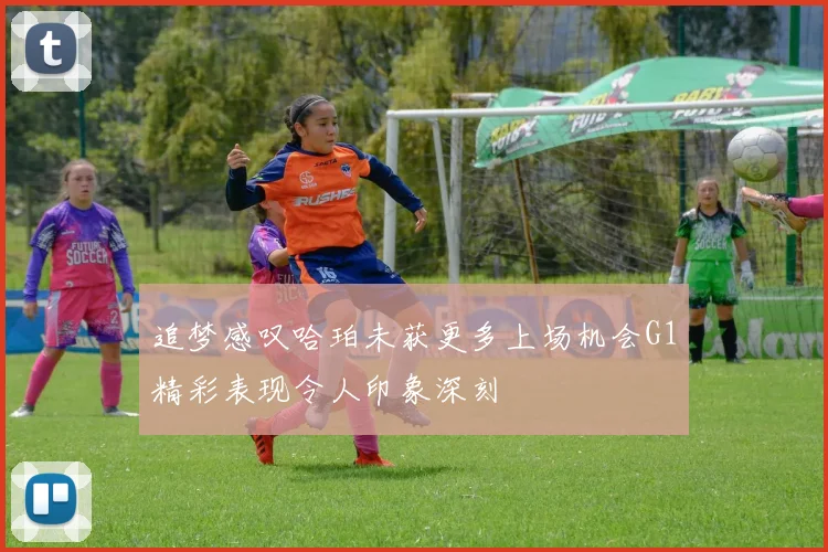 追梦感叹哈珀未获更多上场机会G1精彩表现令人印象深刻